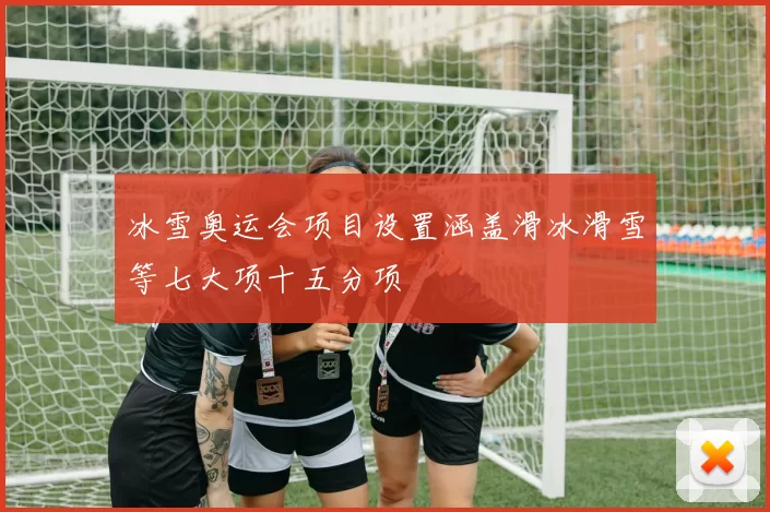 冰雪奥运会项目设置涵盖滑冰滑雪等七大项十五分项