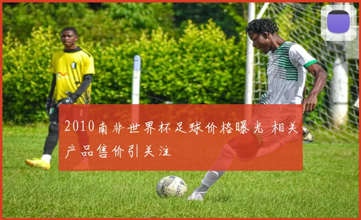2010南非世界杯足球价格曝光 相关产品售价引关注