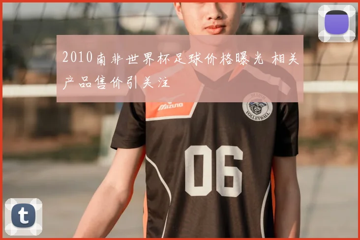 2010南非世界杯足球价格曝光 相关产品售价引关注