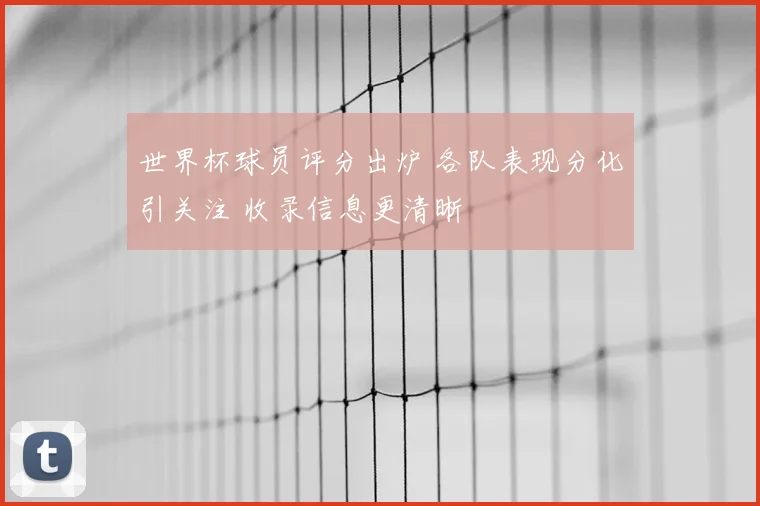世界杯球员评分出炉 各队表现分化引关注 收录信息更清晰