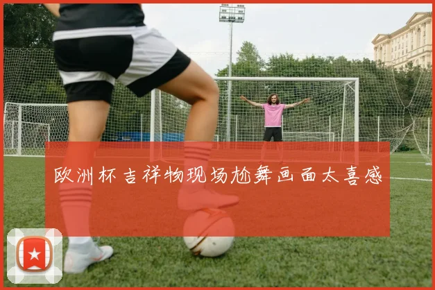 欧洲杯吉祥物现场尬舞画面太喜感