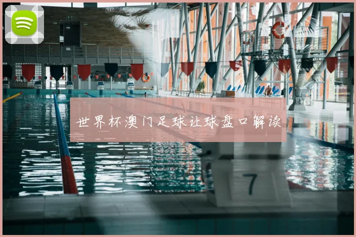 世界杯澳门足球让球盘口解读
